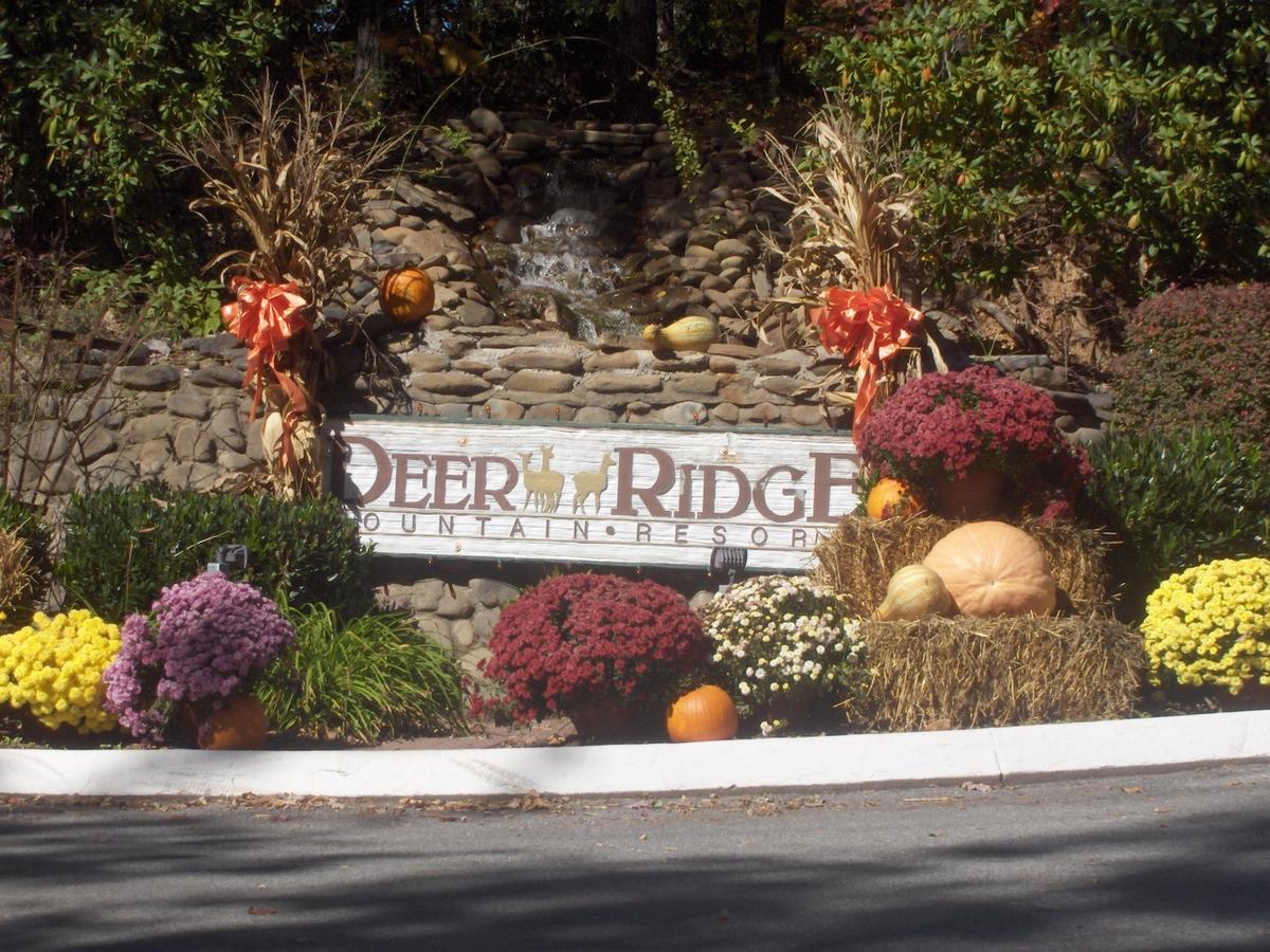 Deer Ridge Mountain Resort Pittman Center Dış mekan fotoğraf